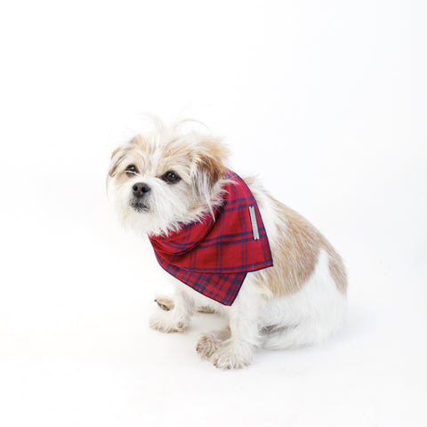Image of Fientje Reversible Tie On Dog Bandanas | Hound and Friends