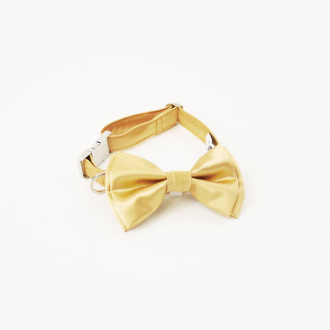 Image of Gage Dog Bow Tie Collar
