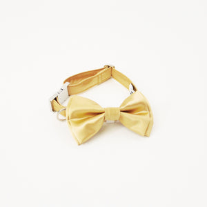 Gage Dog Bow Tie Collar