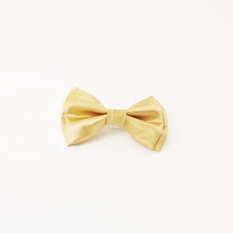 Image of Gage Dog Bow Tie