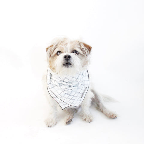 Gus Reversible Dog Bandana to match with people and pups | Hound and Friends