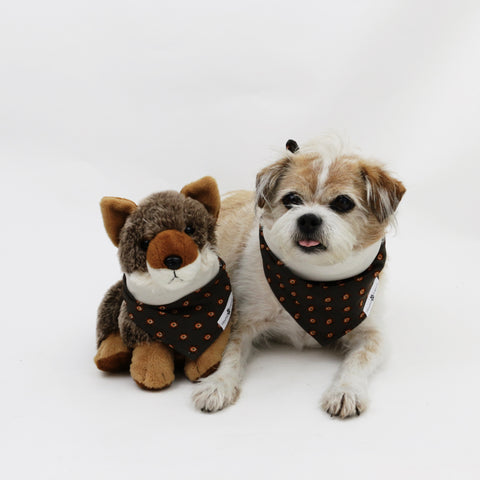 Image of Hogan Reversible Dog Bandana matching with owners | Hound and Friends