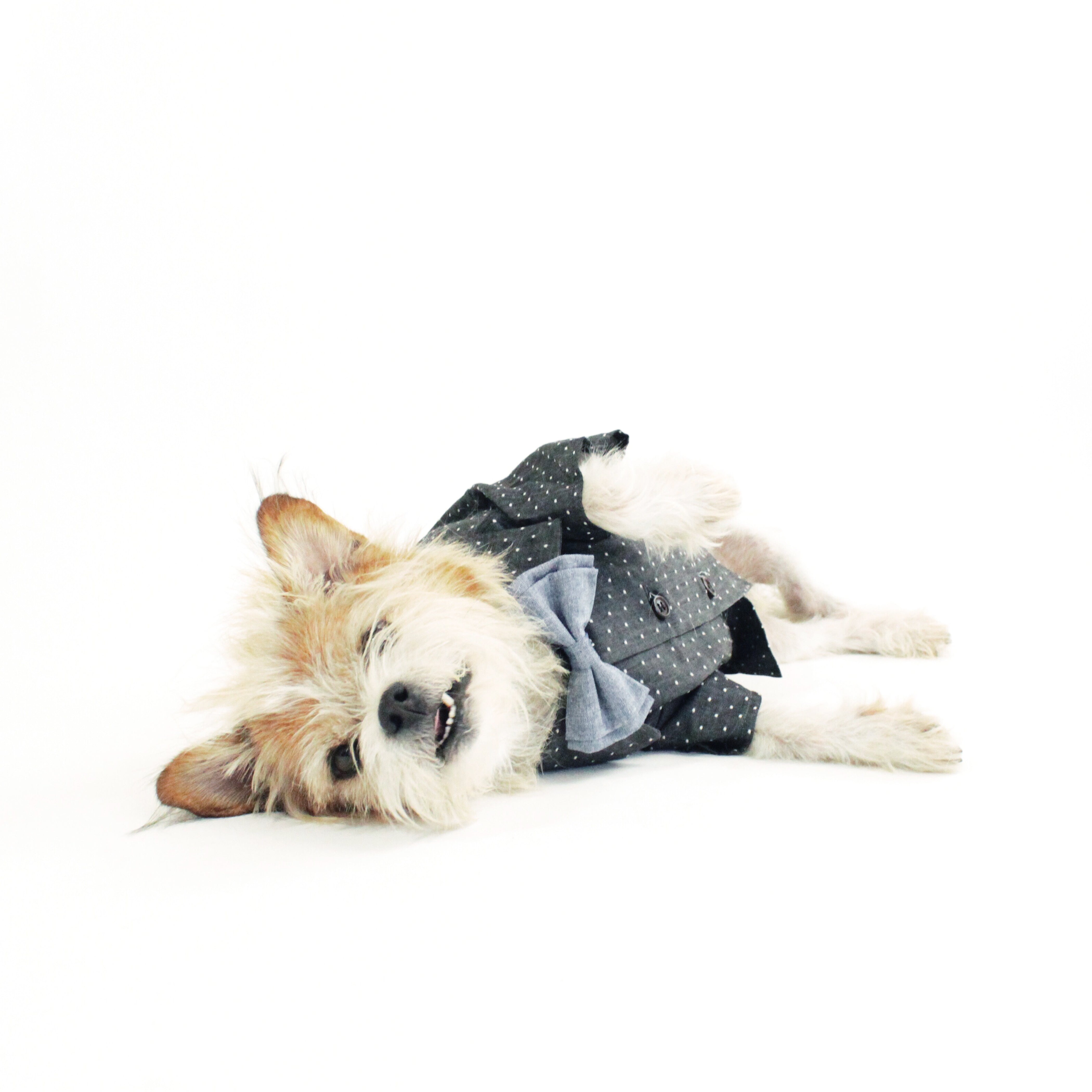 Polka Dot Chambray Button Down Shirt
