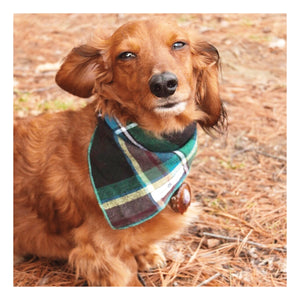 Stripes and Plaids Dog Bandanas Bundles | Hound and Friends