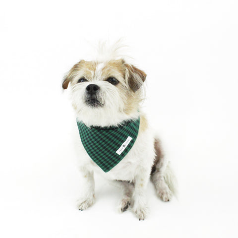 Image of Stripes and Plaids Dog Bandanas Bundles | Hound and Friends