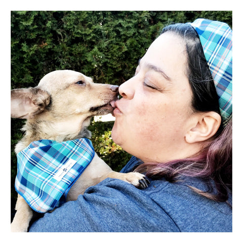 Image of Stripes and Plaids Dog Bandanas Bundles | Hound and Friends