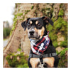 Stripes and Plaids Dog Bandanas Bundles | Hound and Friends