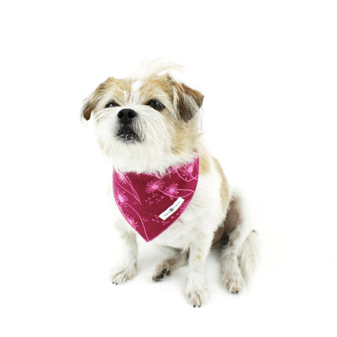 Image of Floral Matching Dog Bandana Bundle Deal | Hound and Friends