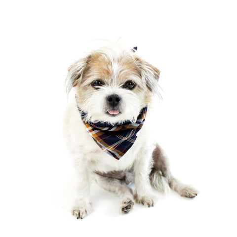 Image of Stripes and Plaids Dog Bandanas Bundles | Hound and Friends