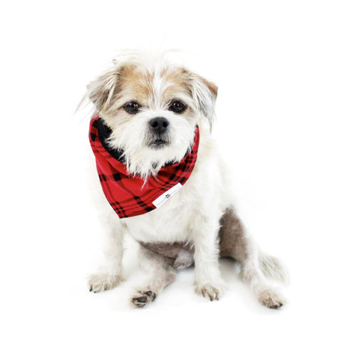 Image of Stripes and Plaids Dog Bandanas Bundles | Hound and Friends