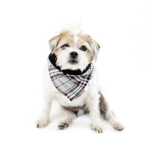 Image of Stripes and Plaids Dog Bandanas Bundles | Hound and Friends