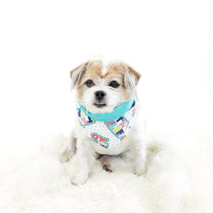 Characters and Animal Prints for Dog Bandana Bundle Deals to buy in 2021 | Hound and Friends