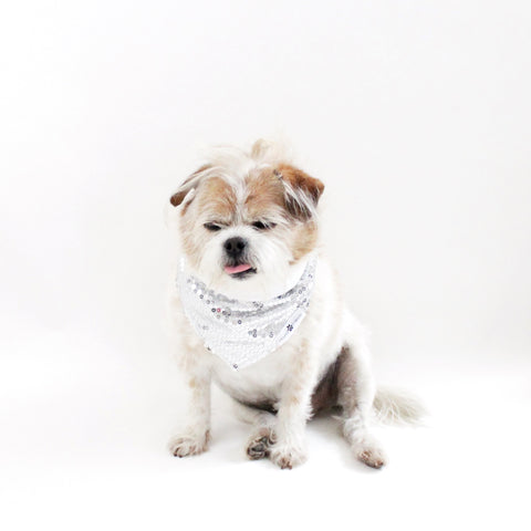 Image of Celebrate Mister's 13th birthday with a box of his Mystery Goodies! Get 13 fun surprises for just $13 every time! Our Mister's Mystery Goodies are the ultimate surprise for people and their pets! With a selection of pet crystal charms, bow ties, reversible bandanas, flower crowns, healing crystals, and more, you be surprised on what you'll get.
