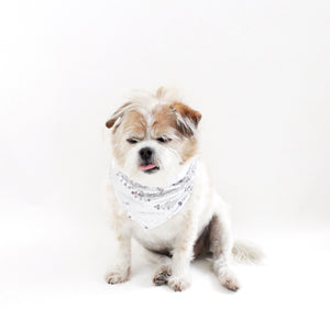 Celebrate Mister's 13th birthday with a box of his Mystery Goodies! Get 13 fun surprises for just $13 every time! Our Mister's Mystery Goodies are the ultimate surprise for people and their pets! With a selection of pet crystal charms, bow ties, reversible bandanas, flower crowns, healing crystals, and more, you be surprised on what you'll get.