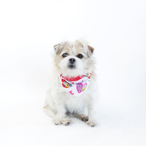 Holiday Dogs and Pets Bandanas and Accessories | Hound and Friends