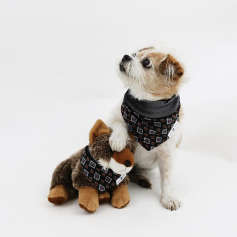 Image of Lenny Reversible Dog Bandana to match with babies and people | Hound and Friends