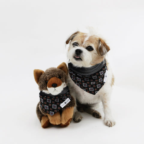 Image of Lenny Reversible Dog Bandana to match with babies and people | Hound and Friends