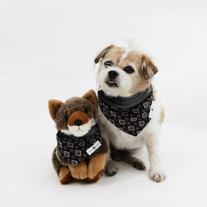 Lenny Reversible Dog Bandana to match with babies and people | Hound and Friends
