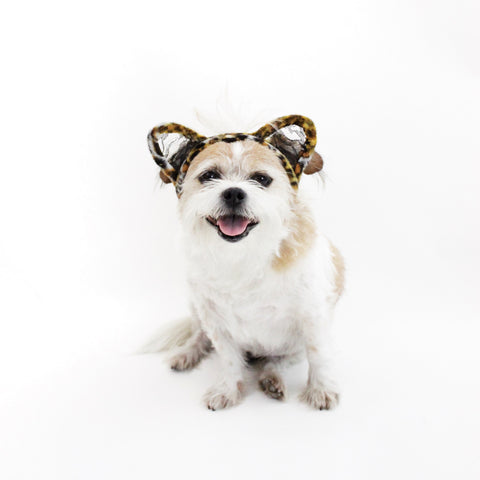 Image of Leopard Lace Ears Headband