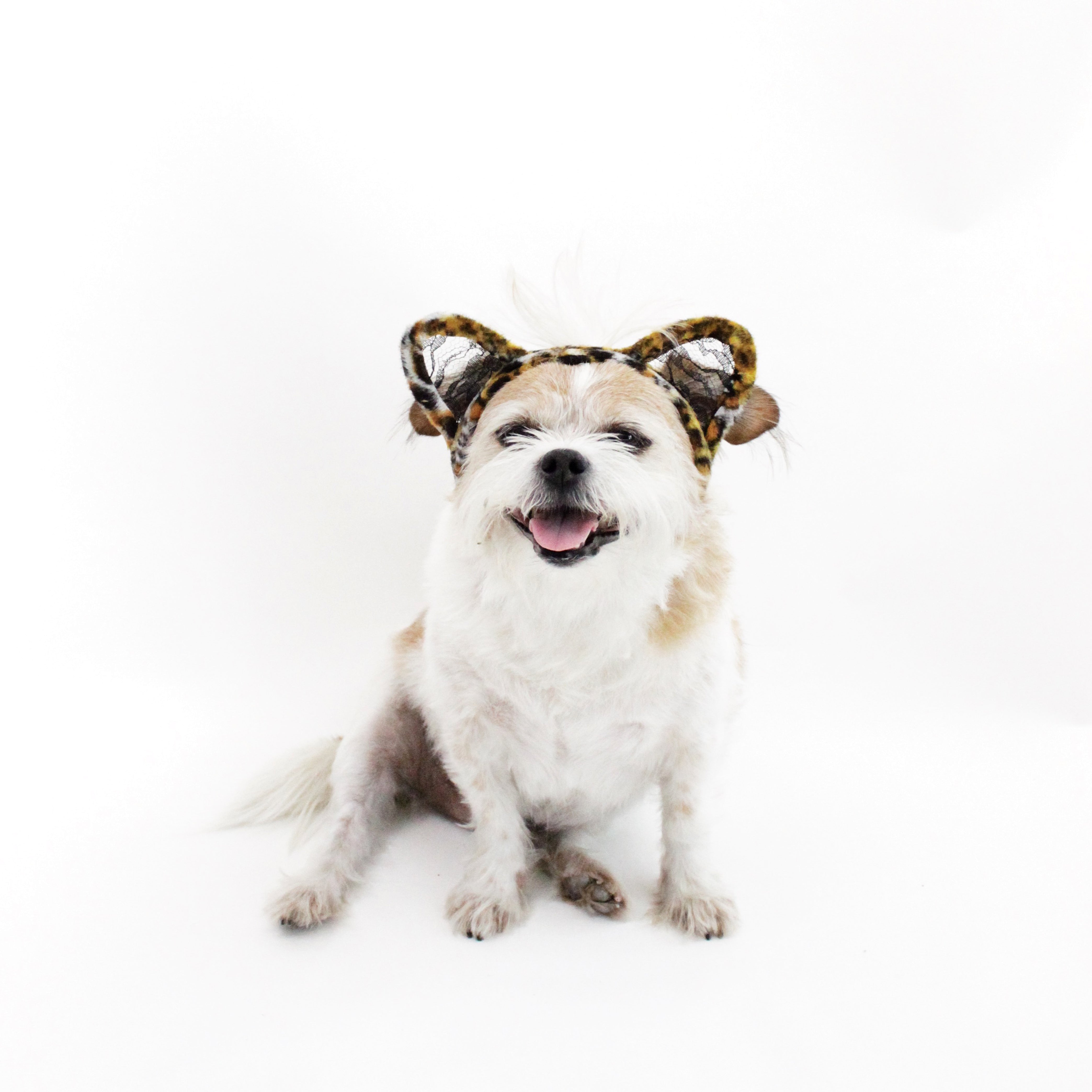 Cat Lace Ears Headband