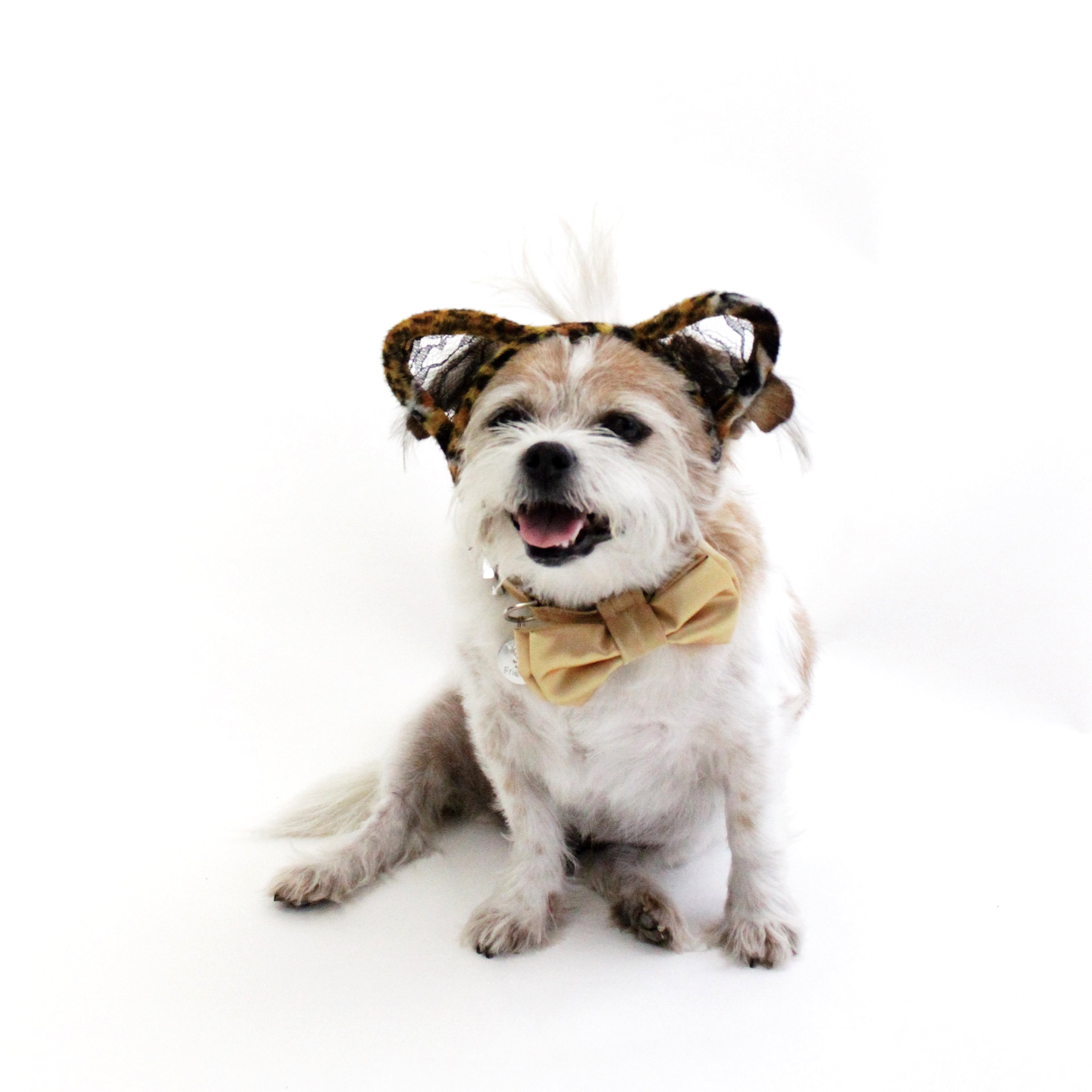 Cat Lace Ears Headband