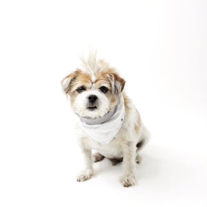 Margo Gray Reversible Tie-On Dog Bandanas and Accessories | Hound and Friends
