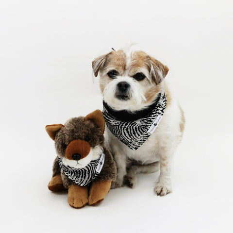 Image of Newt Reversible Bandana