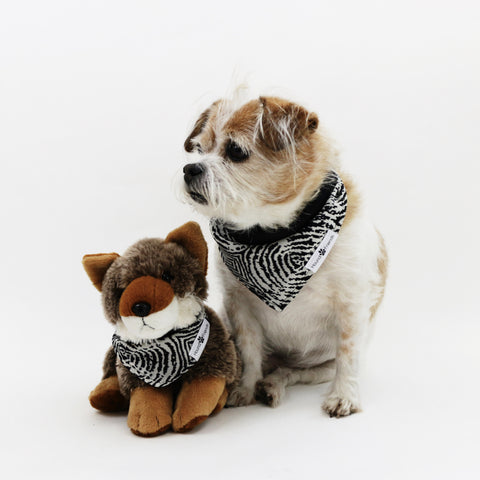 Image of Newt Reversible Bandana