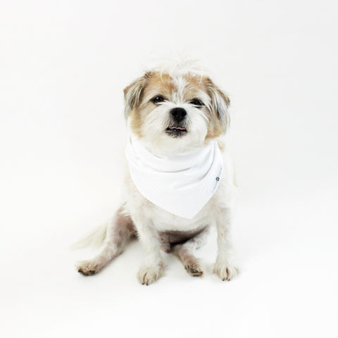 Image of Peek-a-Boo! Reversible tie-on Dog Bandana | Hound and Friends