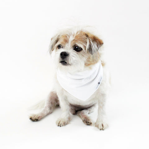 Image of Peek-a-Boo! Reversible tie-on Dog Bandana | Hound and Friends