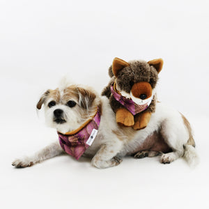 Pokey Purple Reversible Dog Bandana matching with their owners | Hound and Friends