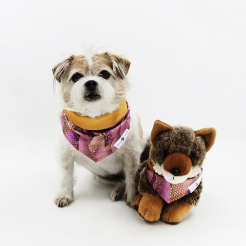 Image of Pokey Purple Reversible Dog Bandana matching with their owners | Hound and Friends