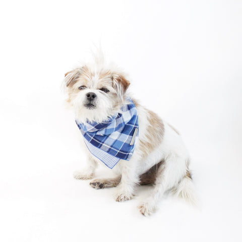 Image of Riley Reversible Tie-on Blue Plaids Bandana for Matching Dog Bandanas and Accessories | Hound and Friends