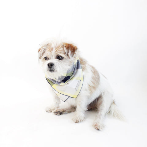 Ro Reversible Tie-on Blue and Yellow Plaids Bandana for Matching Dog Bandanas and Accessories | Hound and Friends