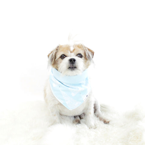 Image of Robbin Reversible Tie On Dog Bandana | Hound and Friends