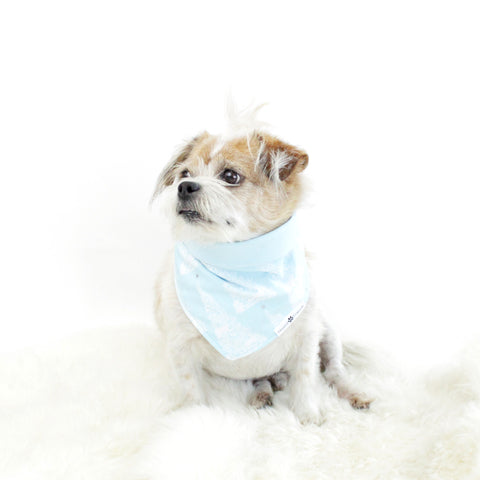 Image of Robbin Reversible Tie On Dog Bandana | Hound and Friends