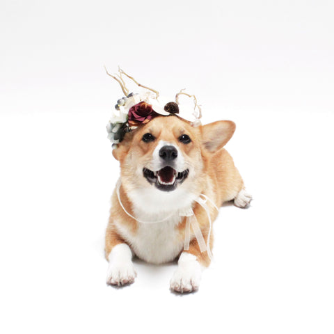 Rocco Flower Crown for dogs, pets and people | Hound and Friends