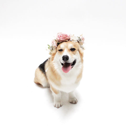 Image of Rosie Wedding Flower Crown for people and their pets from Hound and Friends.