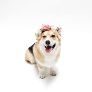 Rosie Wedding Flower Crown for people and their pets from Hound and Friends.
