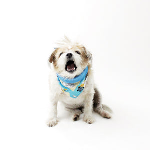 Characters and Animal Prints for Dog Bandanas with Bundle Deals | Hound and Friends