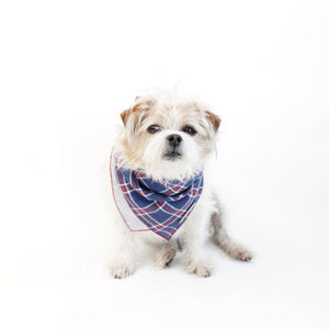 Stinger Reversible Dog Bandana matching with owners | Hound and Friends