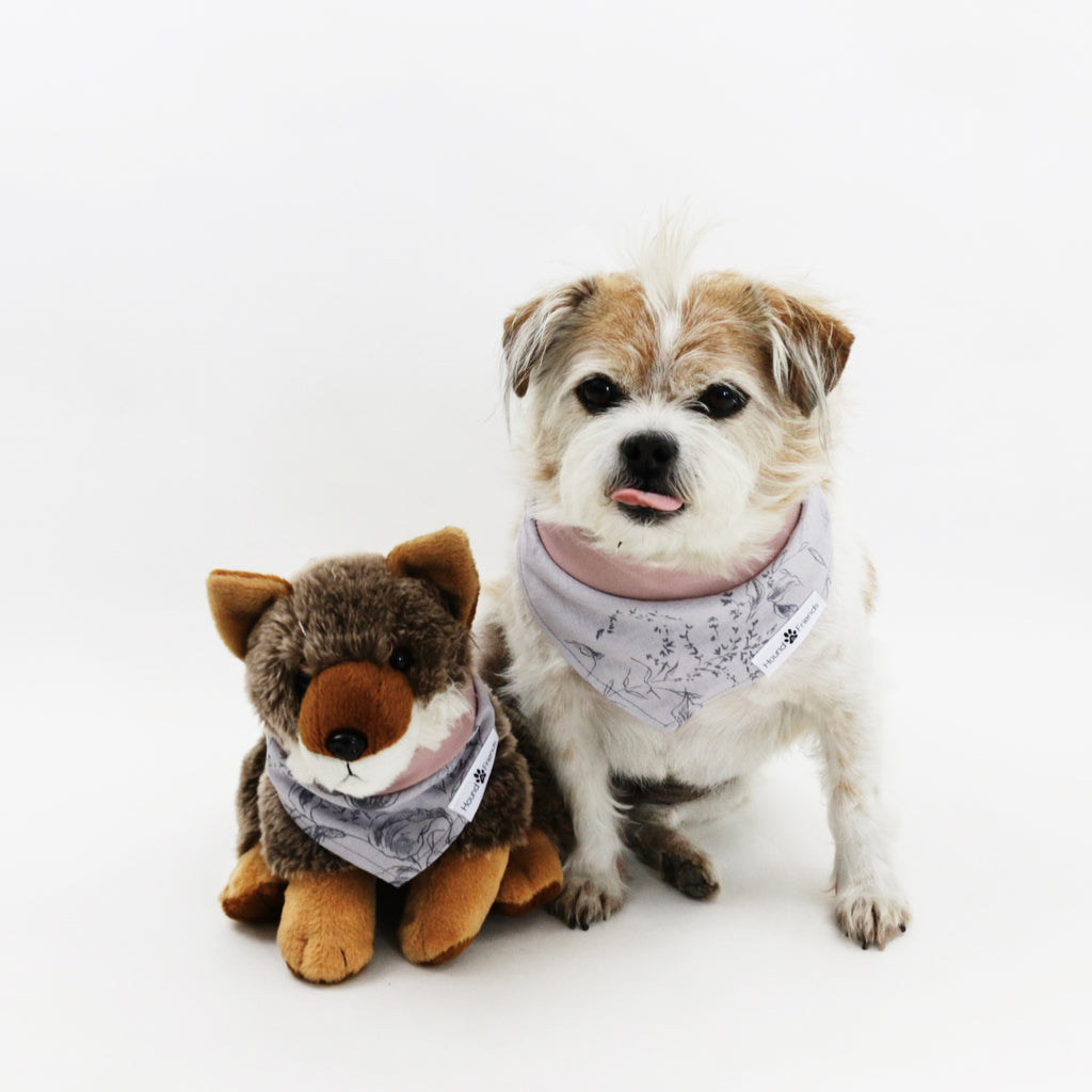 World's Best Sister Printed and Striped Reversible Bandana for Dogs at Rs  679.00, Dog Apparels, Dog Dress, Dog Apparel, कुत्ते के कपड़े - M/S The  Mad Hat Apparel Co, Noida