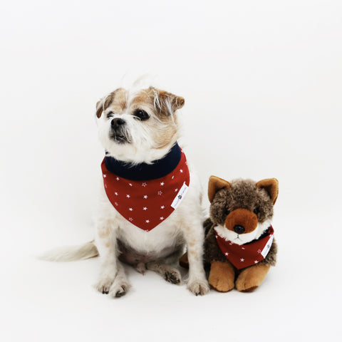 Tony Reversible fourth of July Dog Bandana matching with owners at Hound and Friends