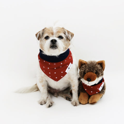 Tony Reversible fourth of July Dog Bandana matching with owners at Hound and Friends