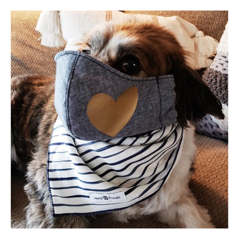Image of Stripes and Plaids Dog Bandanas Bundle Deals to buy in 2021 | Hound and Friends
