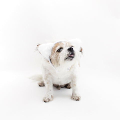 Image of White Fuzzy Ears Headband