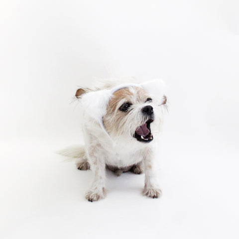 Image of White Fuzzy Ears Headband