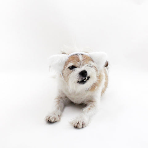 Image of White Fuzzy Ears Headband