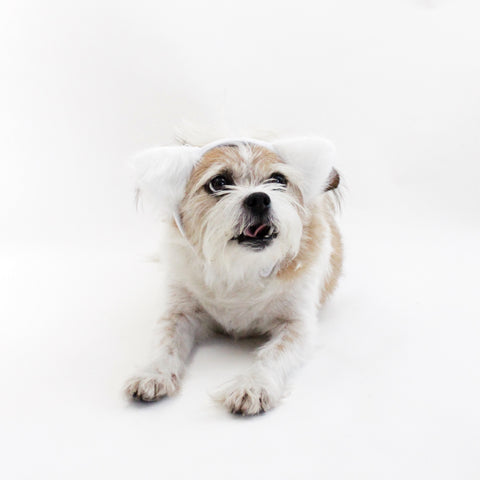 Image of White Fuzzy Ears Headband