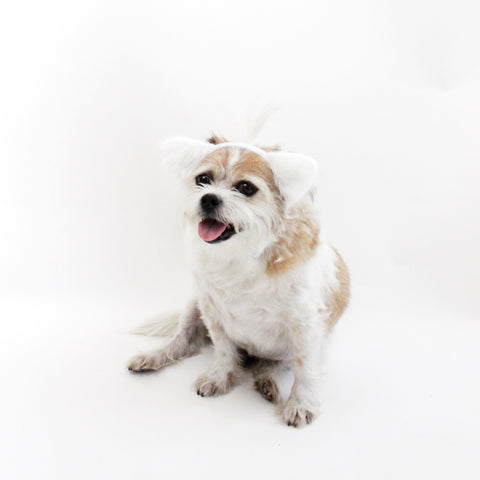 Image of White Fuzzy Ears Headband